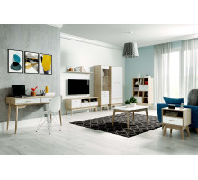 Гостиная Калгари композиция 2